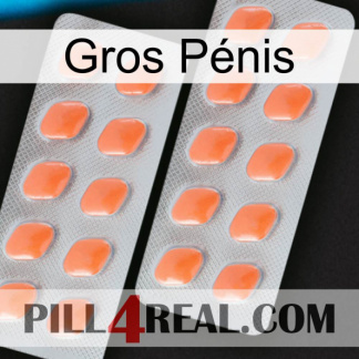 Gros Pénis 27